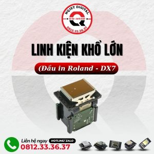 Đầu in Roland RF-640 (DX7)