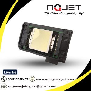 Đầu in DX10 chính hãng
