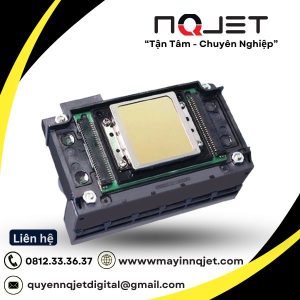 Đầu in DX10 chính hãng